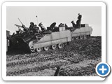 Oir.1967.57