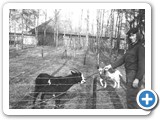 kazerne-04